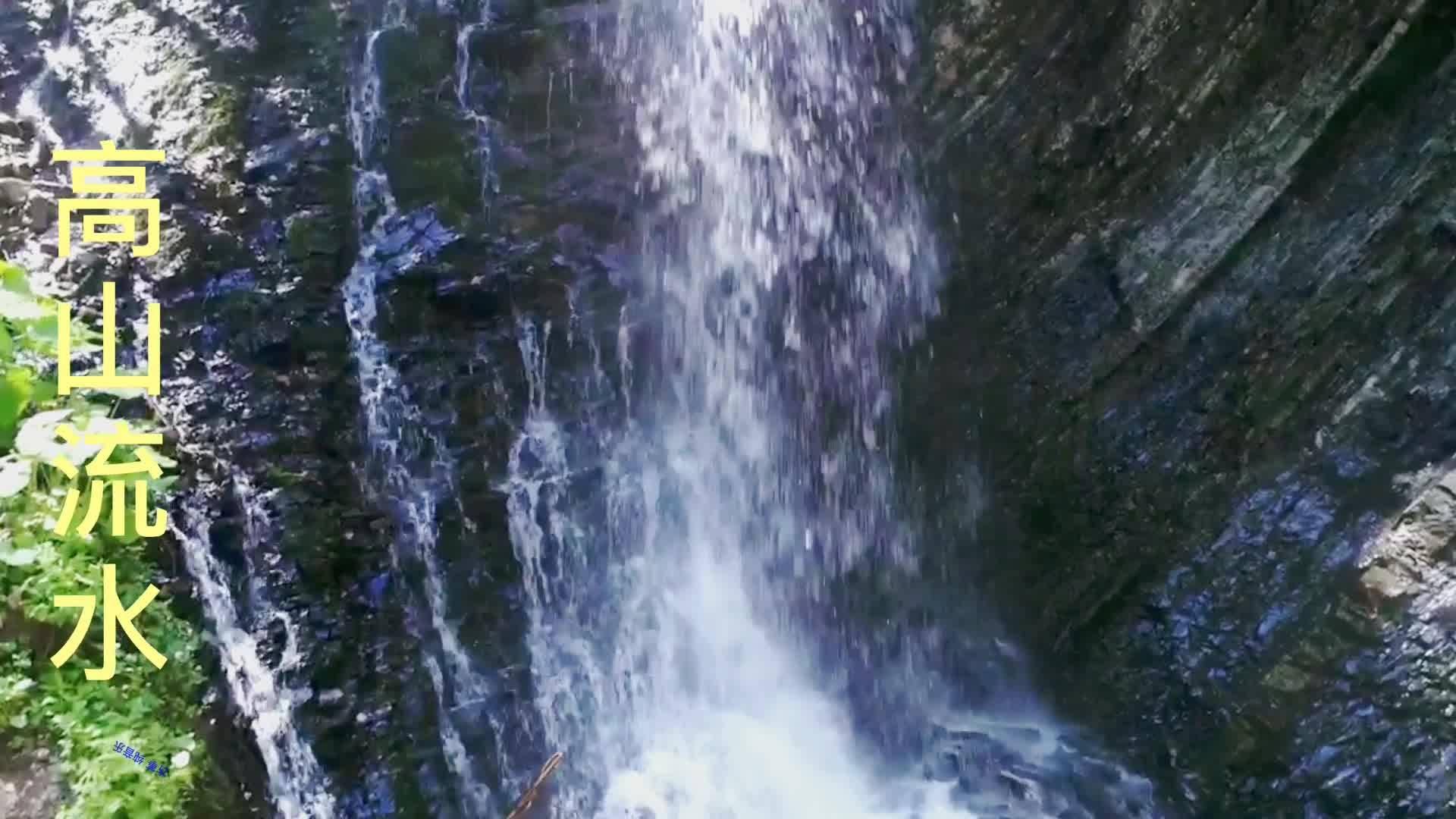 救援选美皇后
